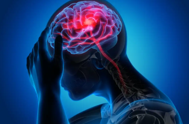 What Are Nootropics? A Guide to Smart Drugs, Safety & Science